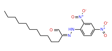 2,4-Dinitrophenylhydrazone tridecanal